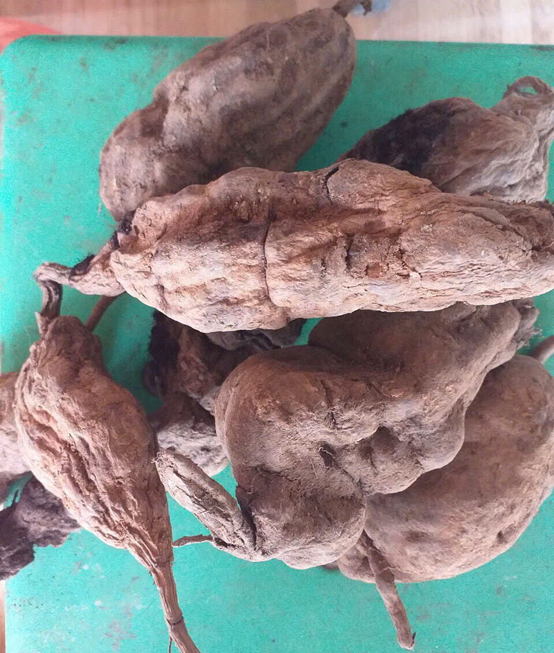 Khúc Khắc (Sâm Thục Linh)